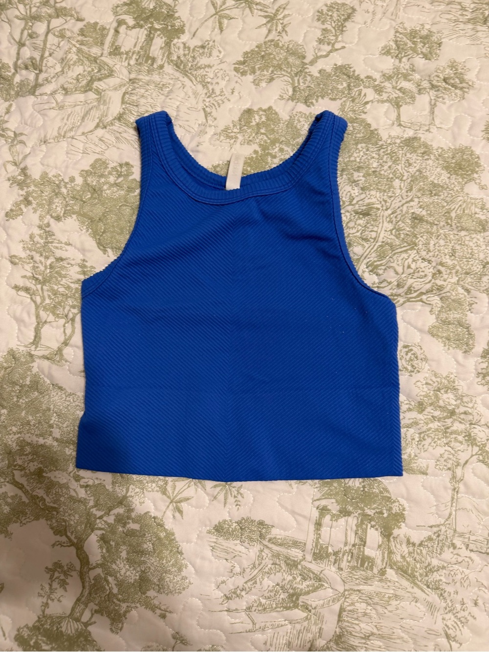 Blue Ribbed Tank Crop Top - Women